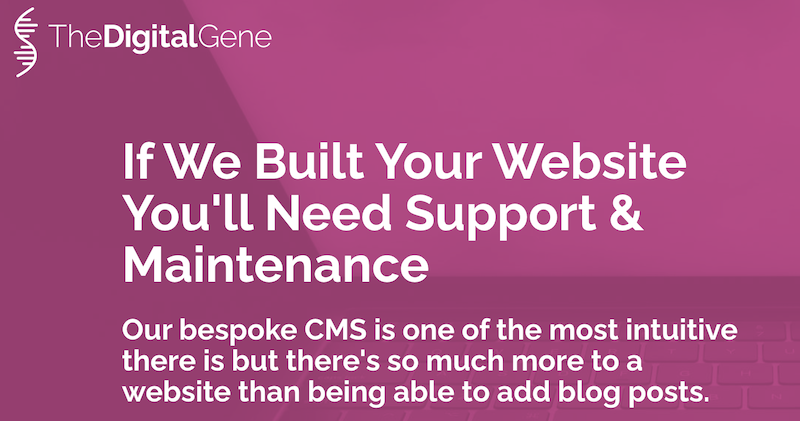 Custom Built Website Security & Support Packages | The Digital Gene